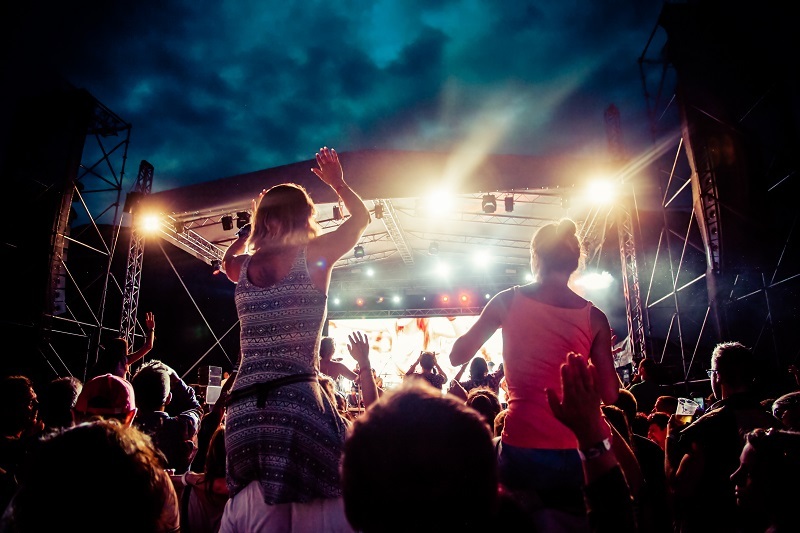 flowers / red flowers