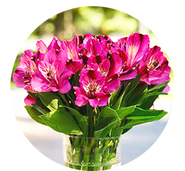 Same day Flowers Wennington
